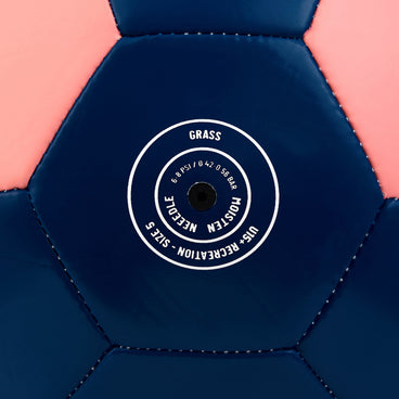 Back ¾ right view of the Mitre Final Football Pink and Blue
